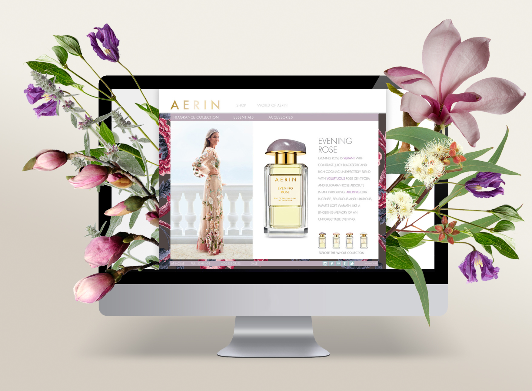 Aerin_ComputerScreen_3